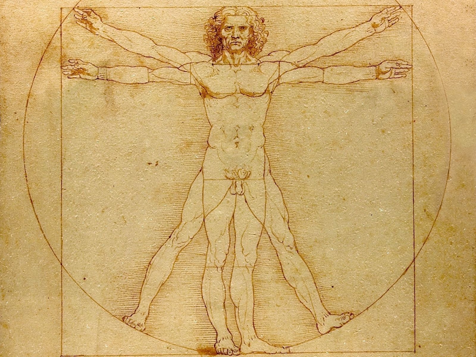 leonardo-da-vinci