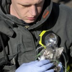 This-picture-of-a-firefighter-administering-oxygen-to-a-cat-rescued-from-a-house-fire.jpg