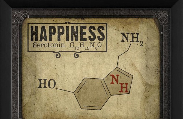 The Shocking Science Behind Our Happiness