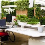 Plants in Offices Increase Happiness and Productivity