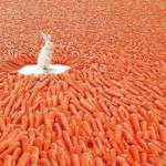 Create your own safe place make each day your masterpiece