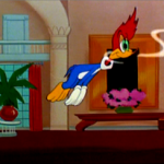 Follow The Frequency of Beauty