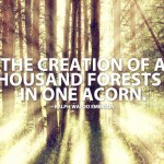 Raplph Waldo Emerson