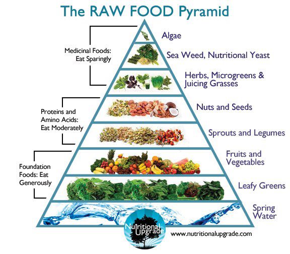 Raw Food Diet Conversion Chart