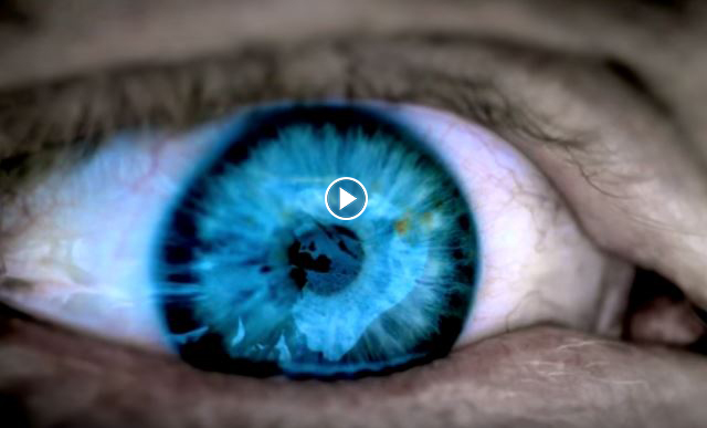 THIS is The Most Rational Video You'll Ever Watch