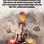 Life Coach Code Quotes About THE SELF