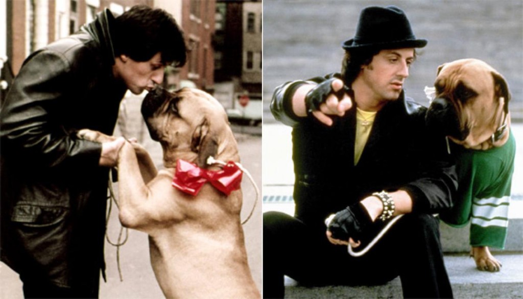 The INCREDIBLE Real Life Story of Sylvester Stallone