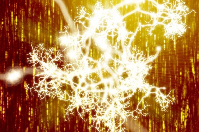 THIS is your brain on coffee