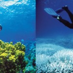 10 Terrifying Before And After Photos of Mother Earth Global Warming Deniers 6