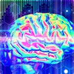 NEUROSCIENCE CONFIRMS: The Subconscious Shapes Our Reality