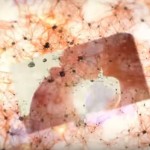 Scientists Have Figured Out How To Delete And Edit Memories 2