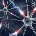 Scientists Have Figured Out How To Delete And Edit Memories, But Are We Ready 1