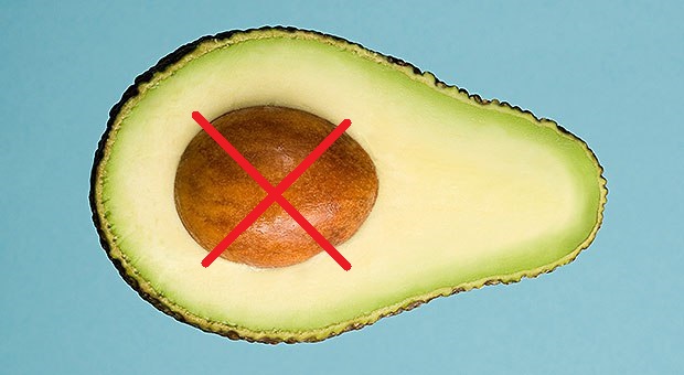 Eating Avocado Seeds