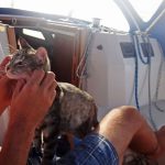 Couple Sells Everything to Live On A Bout and Travel The World 14