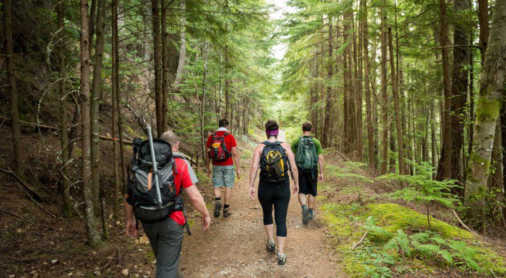 Doctors Explain How Hiking Actually Changes Our Brains