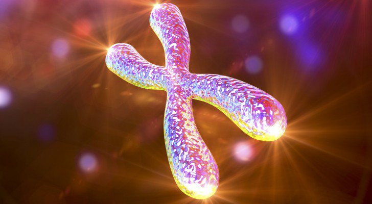 First Human Being To Make HISTORY By Manipulating Their DNA and Make White Blood Cells 20 Years Younger