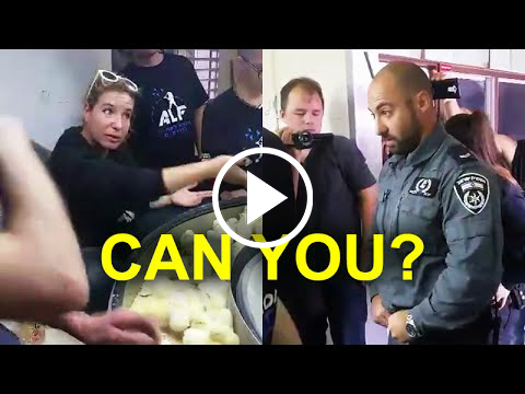 can-you-say-yes-activists-asking-cop-eggs