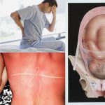 Humans Did NOT Evolve On Earth