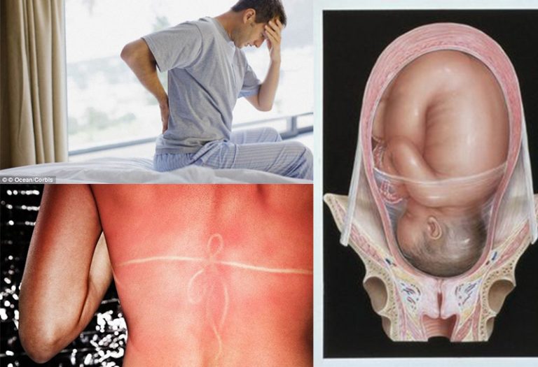 Humans Did NOT Evolve On Earth