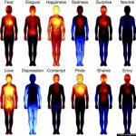 emotion-body