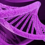 Human Evolution Did NOT Happen On Earth