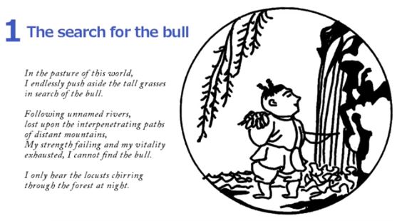 10 Bulls - The Search for The Bull