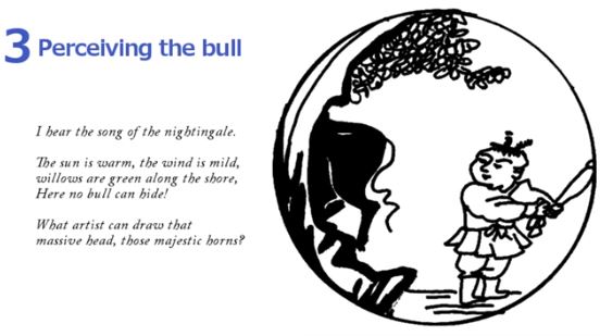 10 Bulls - Perceiving The Bull