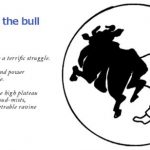 10 Bulls – Catching The Bull 4