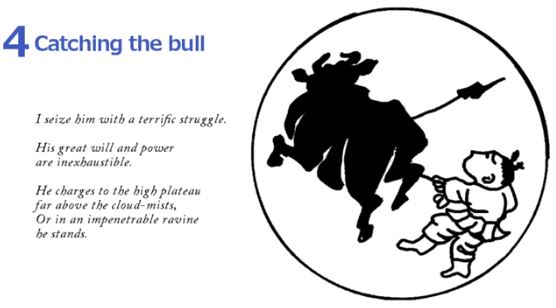 10 Bulls - Catching The Bull 4