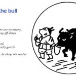 10 Bulls – Taming The Bull 5