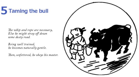 10 Bulls - Taming The Bull