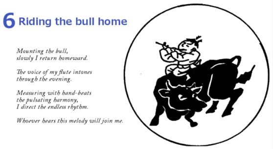 10 Bulls - Riding The Bull Home 6