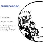 10 Bulls – The Bull Transcended 7