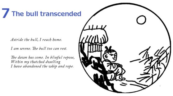 10 Bulls - The Bull Transcended 7