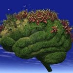 Your Brain is Like A Garden!
