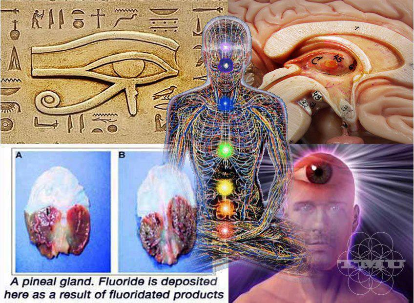 how-to-activate-the-hidden-powers-of-third-eye