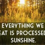 Facts That Will BLOW YOUR MIND 4