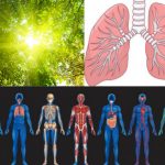 Where Does The Fat Go When We Lose Weight