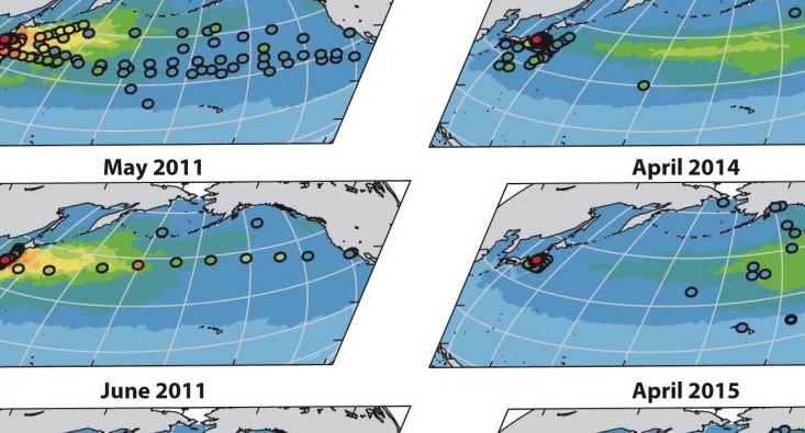 What Fukushima Is Really Doing To The Oceans