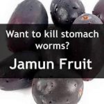 treat-ailments-by-eating-these-15-foods12