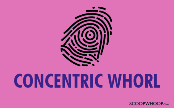 Concentric Whorl