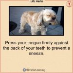 LIFE HACKS That Will Make You Feel Like You Have A SUPERPWOER! 30