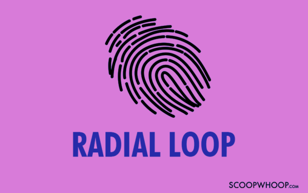 Radial Loop