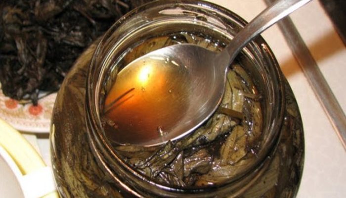 recipe-russian-scientist-with-tea-quit-smoking