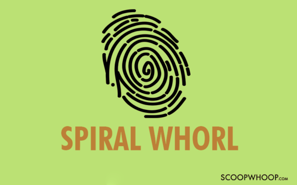 Spiral Whorl