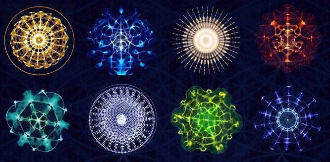 What You Were In Your Past Life