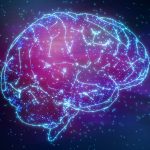 10-percent-of-the-brain-full-potential