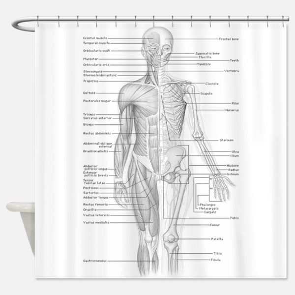 human-anatomy-educational-shower-curtain