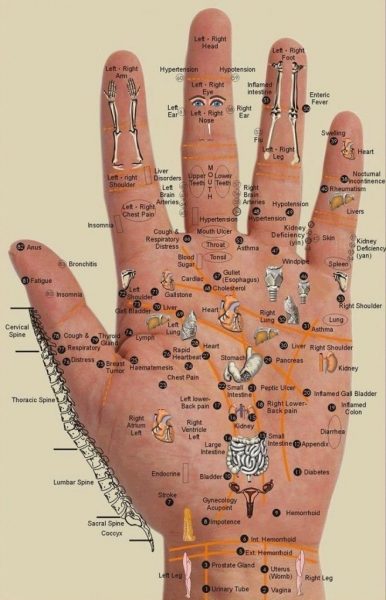 pain-points-on-your-palm-complete-map