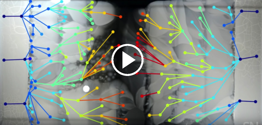 watch-evolution-happen-right-in-front-of-your-eyes